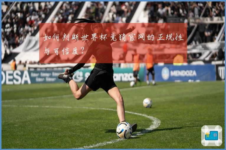 如何判断世界杯竞猜官网的正规性与可信度？