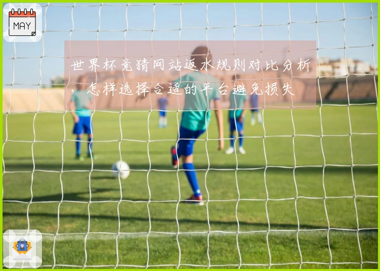 世界杯竞猜网站返水规则对比分析，怎样选择合适的平台避免损失