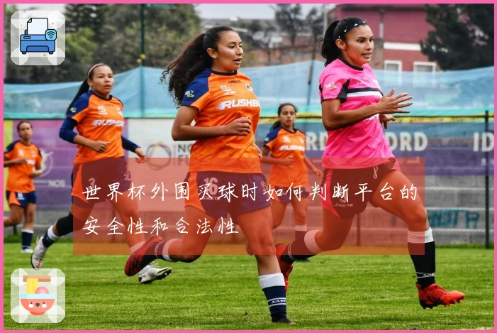 世界杯外围买球时如何判断平台的安全性和合法性